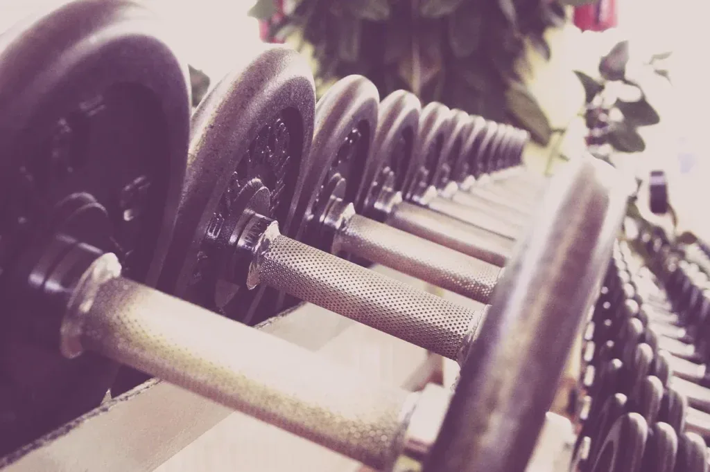 Hantle na stojaku na siłowni - plan push pull legs