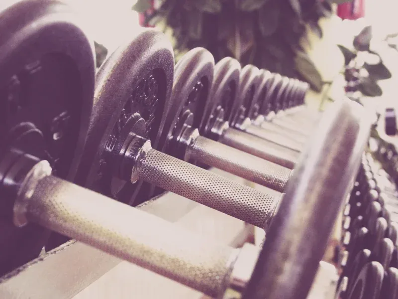Hantle na stojaku na siłowni - plan push pull legs